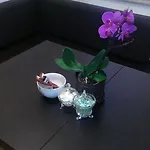 Foco Appartement