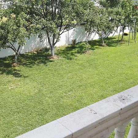 Apartment Foco *